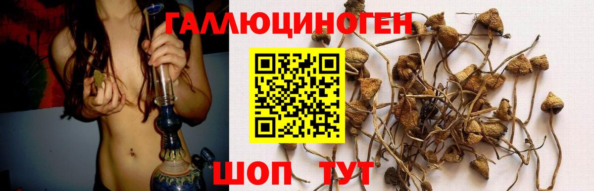 Псилоцибиновые грибы GOLDEN TEACHER Екатеринбург